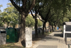 Foto 10