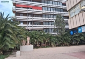 Oficinas en alquiler con 149m² en Valencia foto