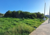 Nau
en venda
a San Fernando, Calle Mayor Popel foto
