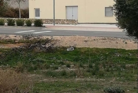 Foto 15