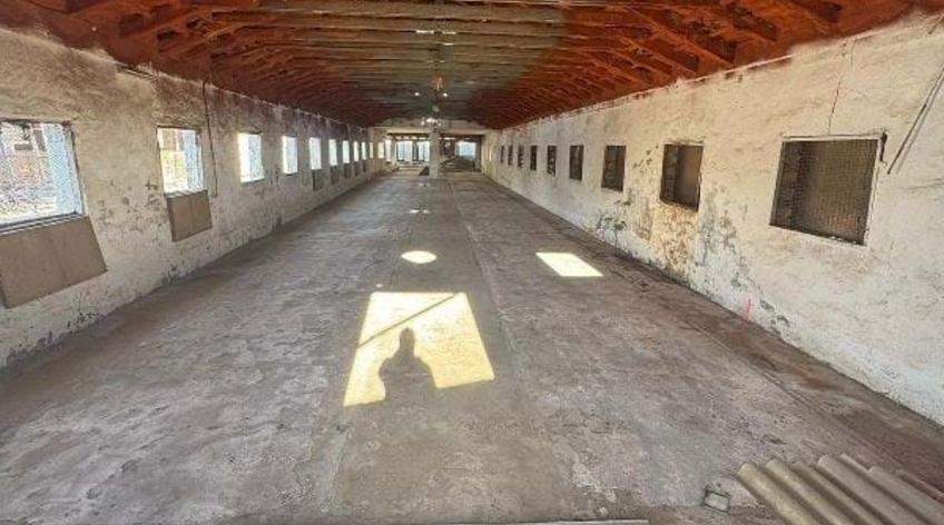 Nave