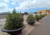 221m² building for sale in Telde, photo