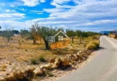 Nave en venta con 200m² en Abanilla foto