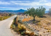 Nave en venta con 200m² en Abanilla foto