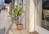 Bar
en venda
amb 95m² a Altea foto