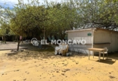 Restaurant
en venda
a Guardamar del Segura, Callejón Benimagrell foto