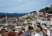 530m² commercial premises for sale in Vélez-Málaga, photo