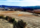 Nau Industrial
en venda
amb 1300m² a Vélez-Rubio foto