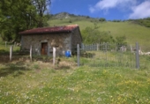 Edifici
en venda
amb 250m² a Proaza foto