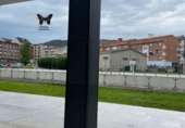 Local comercial en alquiler con 65m² en Grado foto