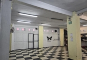 Local comercial
en venda
amb 500m² a Oviedo foto