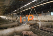 Nave Industrial en venta en Huércal-Overa foto
