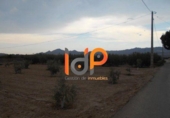 Nave Industrial en venta en Huércal-Overa foto