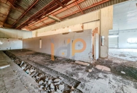 Foto 7
