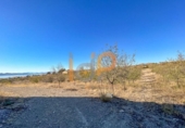 Nave Industrial en venta con 150m² en Huércal-Overa foto