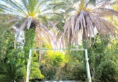 2107m² bâtiment pour vente à Cordoue, photo