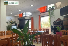 Foto 3