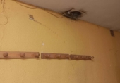 Local comercial
en venda
amb 274m² a Alacant foto