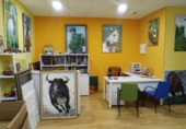 50m² commercial premises for sale in A Coruña, photo