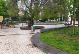 Foto 13