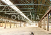 40000m² warehouse industrial for sale in Villarreal, photo