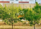  building for sale in Vélez-Rubio, photo