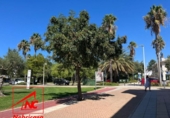 Local comercial en venta con 80m² en Rota foto