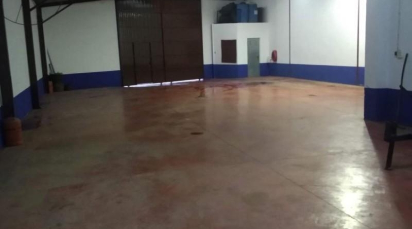Nave