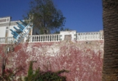  hotel for sale in Alcalá de Guadaíra, Calle Poeta Fernando de los Ríos photo