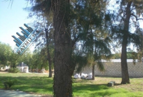 Foto 13