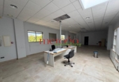 Oficina
en lloguer
amb 141m² a Elx foto