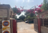290m² restaurant pour vente à Calvià, photo