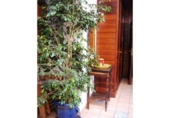 1200m² restaurant for sale in Malgrat de Mar, photo