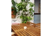 1200m² restaurant for sale in Malgrat de Mar, photo