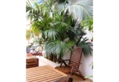 1200m² restaurant for sale in Malgrat de Mar, photo