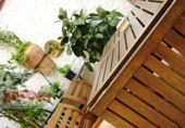 1200m² restaurant for sale in Malgrat de Mar, photo