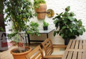 1200m² restaurant for sale in Malgrat de Mar, photo