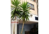 1200m² restaurant for sale in Malgrat de Mar, photo