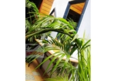 1200m² restaurant for sale in Malgrat de Mar, photo