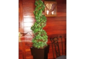 1200m² restaurant for sale in Malgrat de Mar, photo