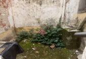 Edificio en venta en Trujillo foto