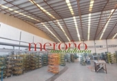 Nave Industrial en venta con 3711m² en Elche foto