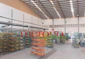 Nave Industrial en venta con 3711m² en Elche foto