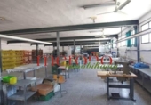 Nave Industrial en venta con 3711m² en Elche foto