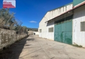  entrepôt industriel pour vente à Mogente, Calle del Molí dels Tarongers photo