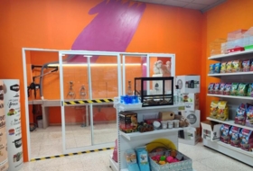 Foto 7