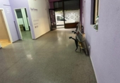Local comercial en alquiler con 83m² en Elda foto