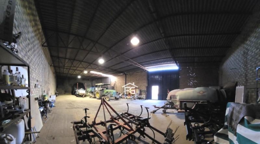 Nave