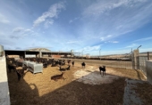  locaux commerciaux pour vente à Lorca, photo
