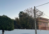 Nave Industrial en venta en Los Palacios y Villafranca, Calle Alonso Sánchez Pinzón foto